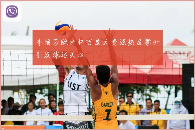 李丽莎欧洲杯百度云资源热度攀升引发球迷关注