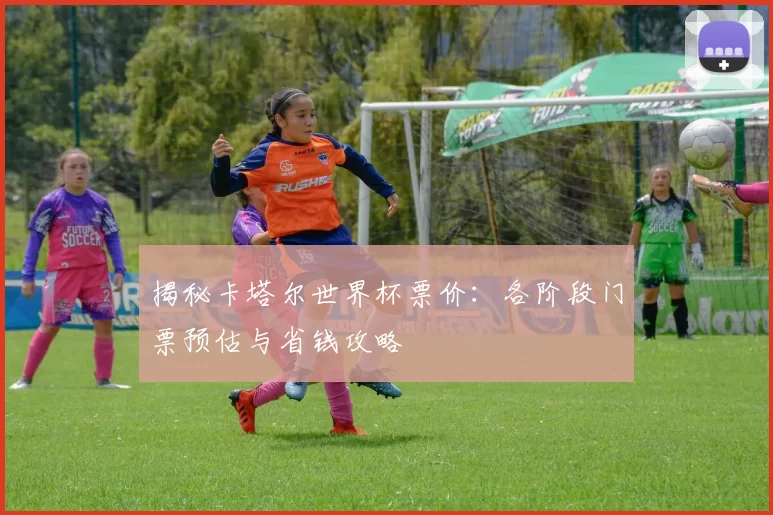 揭秘卡塔尔世界杯票价:各阶段门票预估与省钱攻略