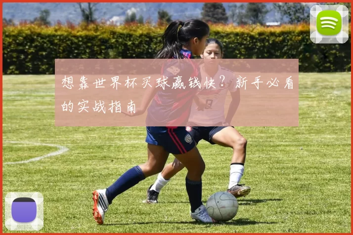 想靠世界杯买球赢钱快?新手必看的实战指南