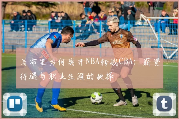 马布里为何离开NBA转战CBA：薪资待遇与职业生涯的抉择