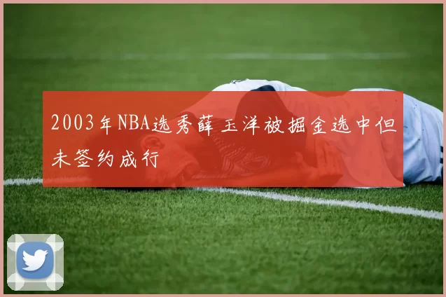 2003年NBA选秀薛玉洋被掘金选中但未签约成行