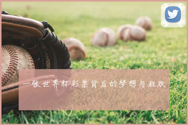 一张世界杯彩票背后的梦想与狂欢